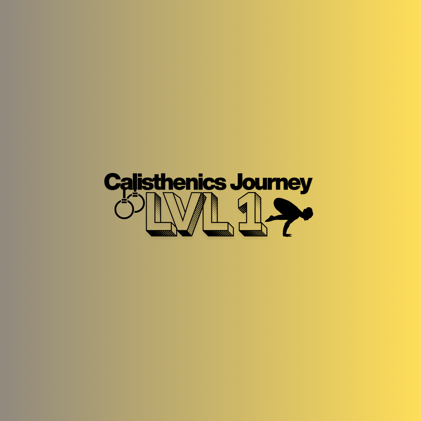 Calisthenics Journey LVL 1