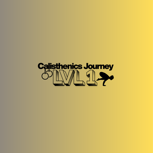 Calisthenics Journey LVL 1